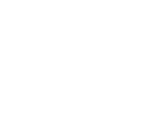MENI-full Logo